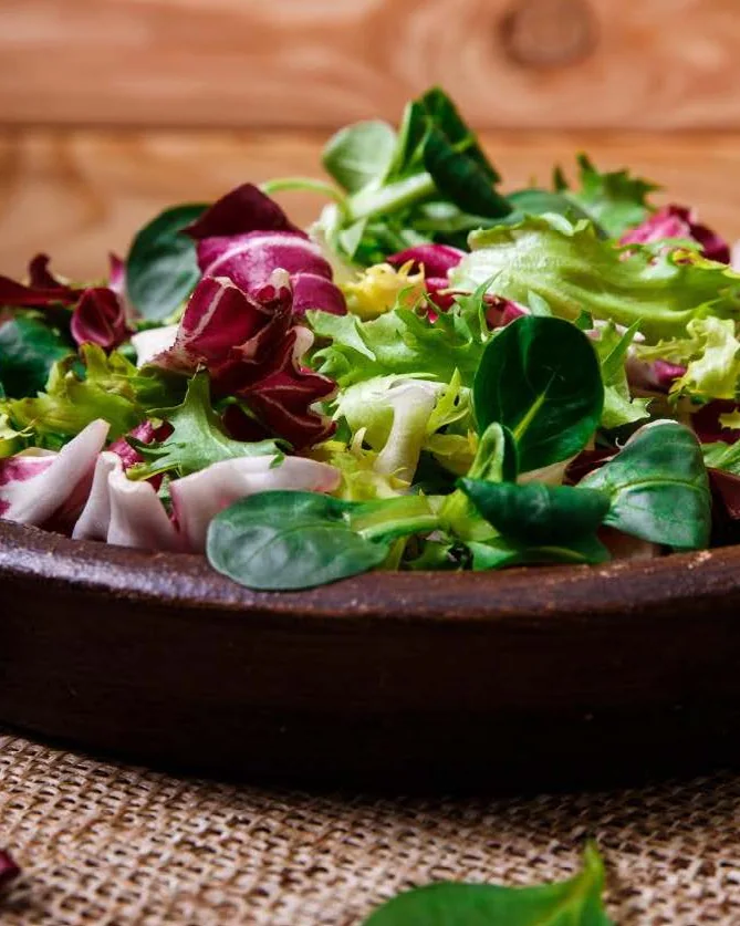 A salad of fresh leaves and radicchio